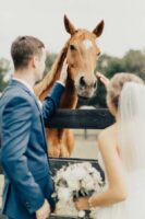 Bride and groom petting a brown horse