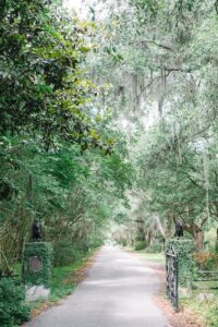 Magnolia Plantation Wedding Planners